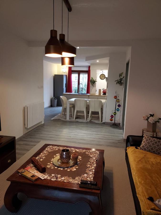 Residence Du Vieux Chateau Jardin & Parking Gratuit Mulhouse Eksteriør billede