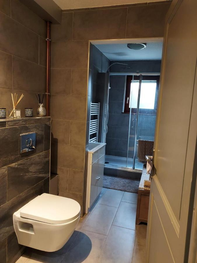Residence Du Vieux Chateau Jardin & Parking Gratuit Mulhouse Eksteriør billede
