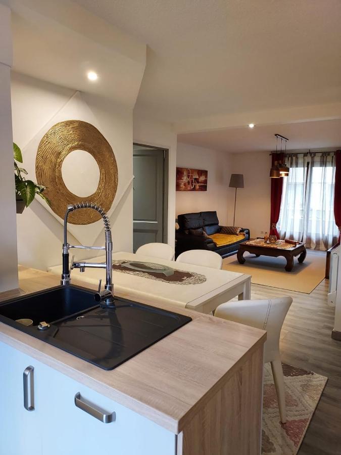 Residence Du Vieux Chateau Jardin & Parking Gratuit Mulhouse Eksteriør billede